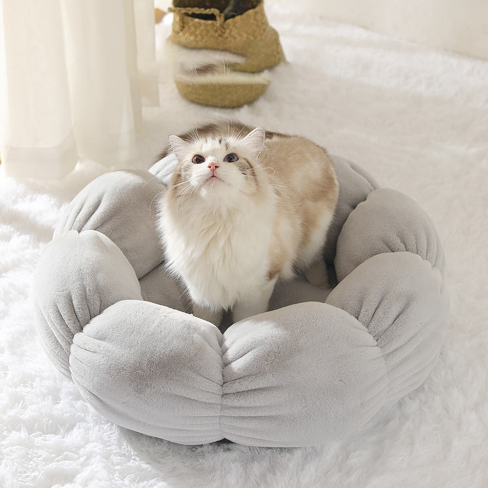 Panier pour chat